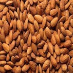 Almonds Benefits Specifications and How to Buy in Bulk