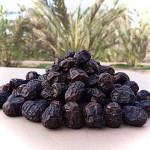 Ajwa Dates from Beginning to End Bulk Purchase Prices