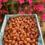 The Price of Bulk Purchase of Zahidi Dates is Cheap and Reasonable