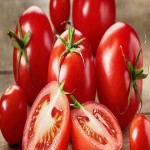 Tomatoes Specifications and How to Buy in Bulk
