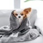 pet towel Specifications and How to Buy in Bulk