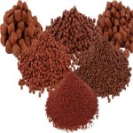 Fish feed to purchase with resonable price