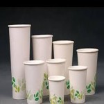 Eco-Friendly Cups with Complete Explanations and Familiarization