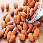 Bulk Purchase of Bitter Almonds with the Best Conditions