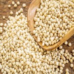 Learning to Buy a Sorghum from Beginning to End
