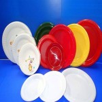 Bulk Purchase of disposable plates with the Best Conditions