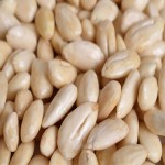 blanched almonds Buying Guide with Special Conditions and Exceptional Price