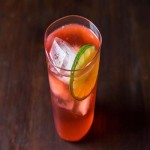 Shirley Temple Drink Buying Guide with Special Conditions and Exceptional Price