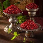 The Future of Barberry in the Market and Buy at Reasonable Price