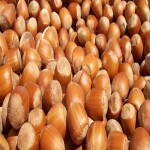 Bulk Purchase of European Hazelnut with the Best Conditions