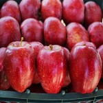 price of Unripe red apple