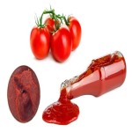 cento organic tomato paste buying guide with special conditions and exceptional price