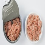 canned tuna salty acquaintance from zero to one hundred bulk purchase prices