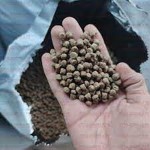 Learning to Buy an fish feed from Beginning to End