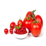 tomato paste turkey price list wholesale and economical
