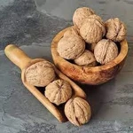 Price and purchase white walnut fruit  with complete specifications