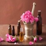 Damask rose essential oil to stop hair loss and regrow