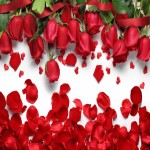 Buy Edible Red Rose Petals At An Eanchorceptional Price