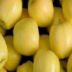 Fruit Golden ccc Price