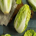 Organic Napa Cabbage Price
