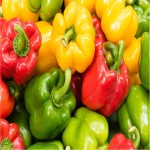 Bell Pepper Price Philippines 2023
