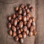 Shelled Hazelnuts Price
