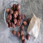 Soap Nuts Price in Sri Lanka