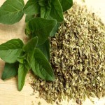 Dried Thyme Price
