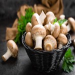 Fresh Mushroom Price in Egypt