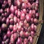 Small Onion Price Today in Trichy