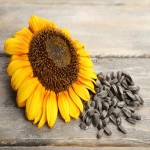 Sunflower Seed Price in Sri Lanka