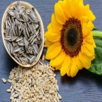 Sunflower Seeds Price Per Bushel
