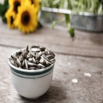 Sunflower Seed in Zambia; Lower Blood Pressure Contains (Vitamin Magnesium Protein)