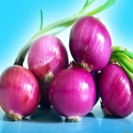Export Quality Onion Price