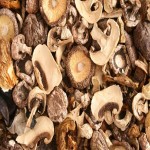 Dry Mushroom Price in Bangladesh
