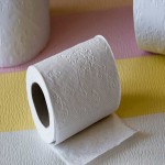 Kirkland Brand Paper Towel Price