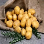 Fresh Potato in USA (Batata) 2 Famous Types Brown Yellow Skin