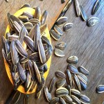 Sunflower Seeds Price Per Kg in India