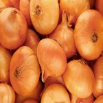 Live Onion Price in Nashik
