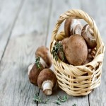 Fresh Mushroom Price in China