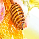 Royal Honey Price in India