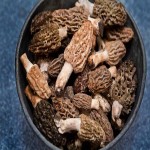 Dried Morel Mushroom Price