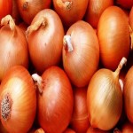 One Kg Onion Price in Chennai