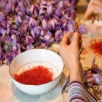 Afghan Saffron Price per kg