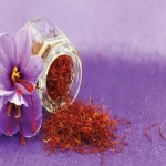 Saffron Spice Price in India