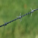 Ufa Barbed Wire Price