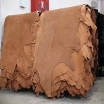 Cow Leather in Bangladesh; Soft Dry Uses (Shoes Bag Gloves Belt Jacket)
