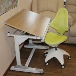 Rol Ergo Desk; Height Adjustable Improves Productivity