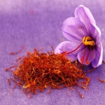 Edman Saffron (Crocus sativus) Red White Stigmata Coloring Flavoring Food