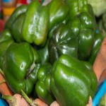 Green Bell Pepper (Grossum Species) Consume Raw Cooked Treat Diseases